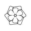 شهرداری یزد